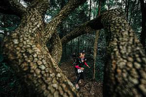 BIB: 
                            <button type="button" onclick="openModal(25393527)" class="btn btn-primary btn-sm float-right btn-popup" data-toggle="modal" data-target=".modal-high-quality">
                        <i class="fas fa-shopping-cart"></i> Add to Cart
                    </button>
                                            <button type="button" onclick="isThisMe(25393527, true)" class="btn btn-success btn-sm float-right btn-popup btn-isme hidden" data-toggle="tooltip" data-placement="bottom" title="นี่คือรูปของคุณใช่ไหม คลิกที่นี่เพื่อเอาเข้าอัลบั้ม">
                        <i class="fas fa-plus"></i> Add to album
                    </button>
                    <button type="button" onclick="isThisMe(25393527, false)" class="btn btn-warning btn-sm float-right btn-popup btn-isnotme hidden">
                        <i class="fas fa-ban"></i> Remove from album
                    </button>